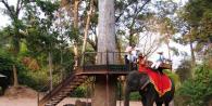 Siem Reap - αξιοθέατα και η κριτική μας Siem Reap: τουριστική συνοικία