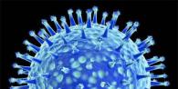 MedAboutMe - Vírusy: Diverzita druhov, choroby, liečba a prevencia Symptómy vstupu vírusov do tela